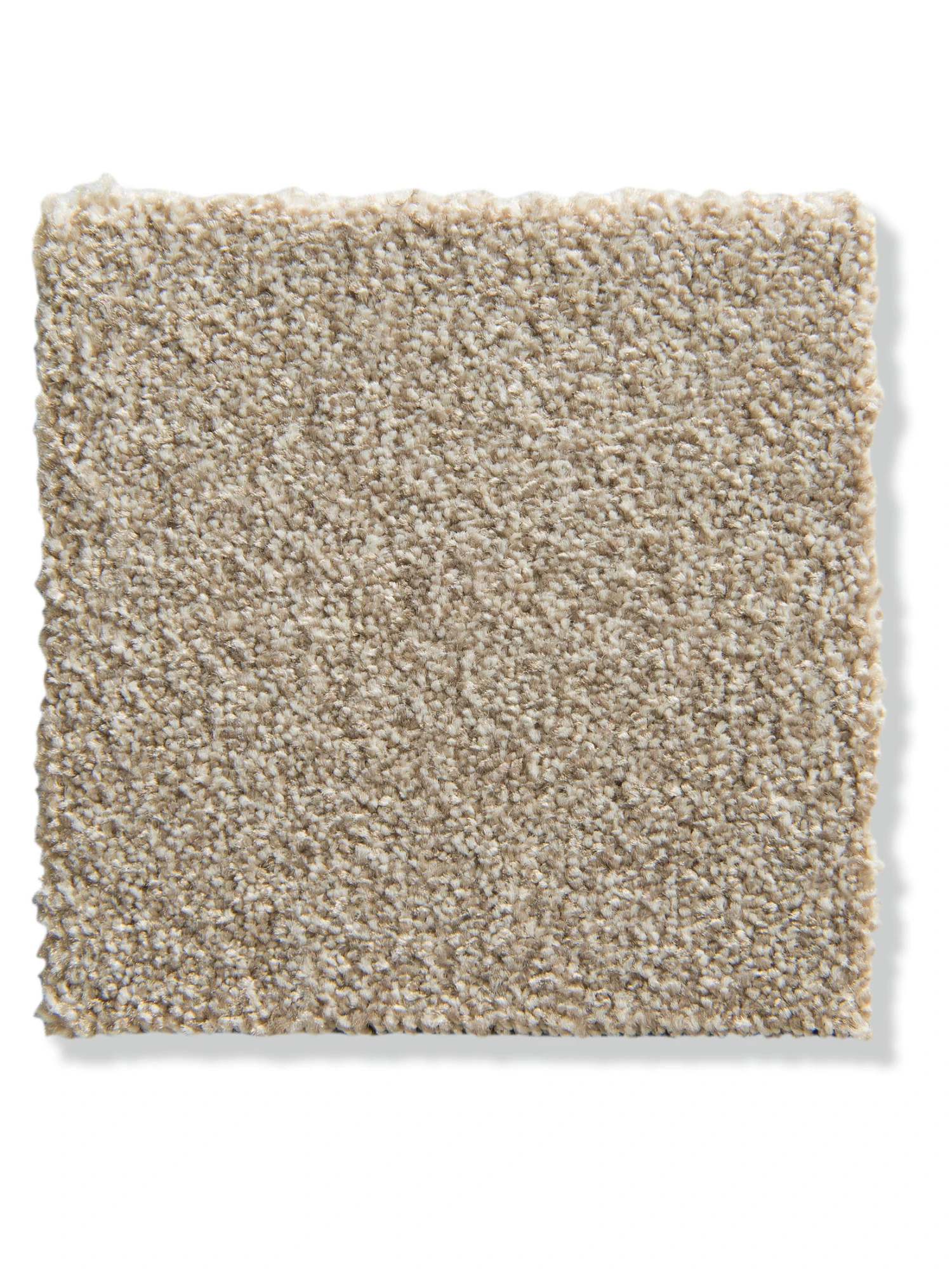 Teppichbodenfliese, Sand Teppichbodenfliese, Sand -Einrichtungsgegenstände Geschäft Taomania Teppichbodenfliese Beige Sand39 10x10 lup