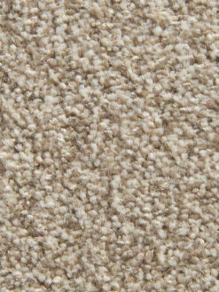 Teppichbodenfliese, Sand 4 Teppichbodenfliese, Sand -Einrichtungsgegenstände Geschäft Taomania Teppichbodenfliese Beige Sand39 lup2
