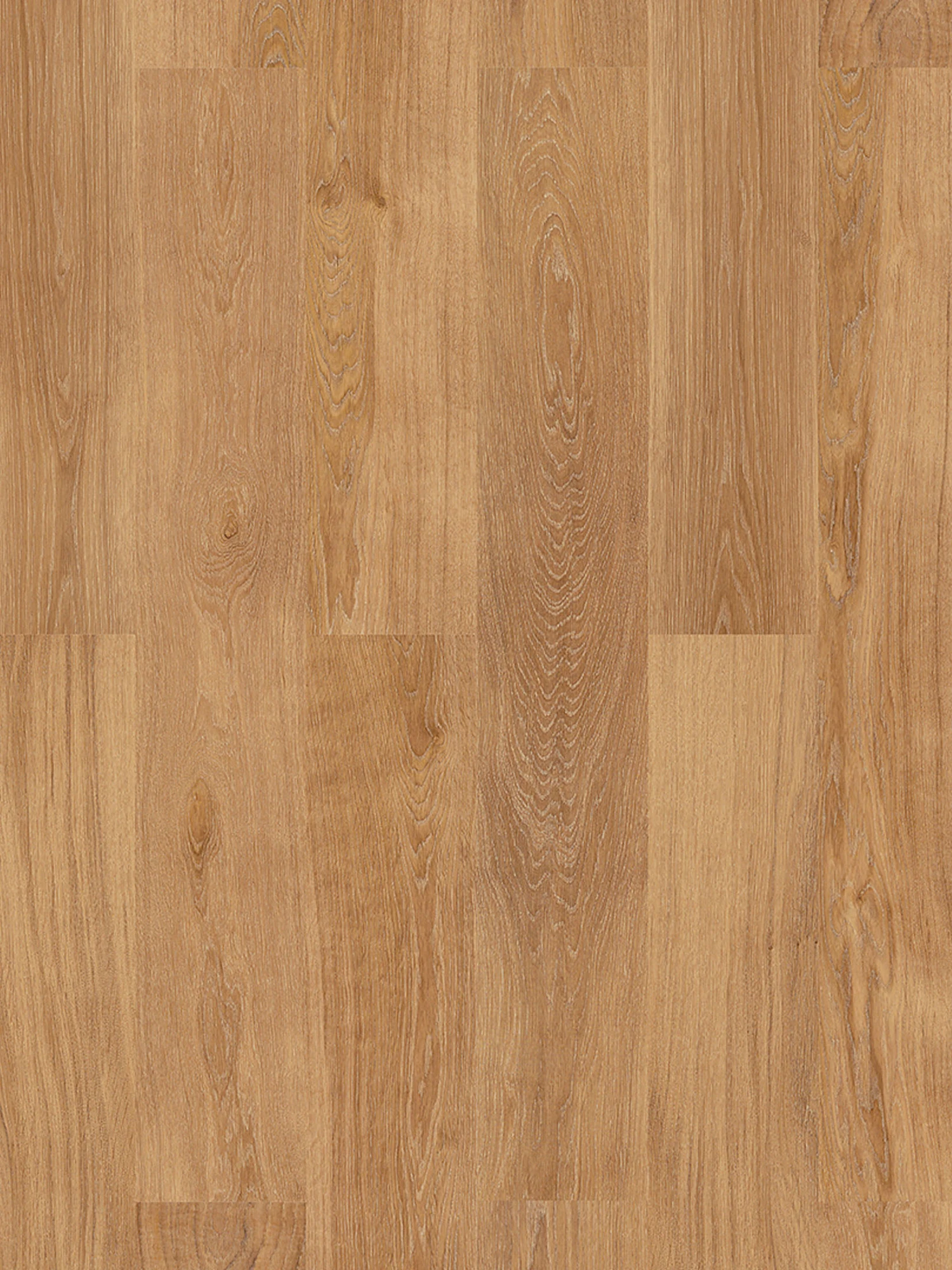 Klick-Laminat, Nature Dark Oak 62251 Klick-Laminat, Nature Dark Oak 62251 -Einrichtungsgegenstände Geschäft Toscana Laminat NatureDarkOak lupB2