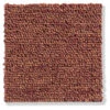 Schlingen-Teppichboden, Terra 38 -Einrichtungsgegenstände Geschäft Triton Schlingenteppichboden terrakotta Terra38 10x10 lup