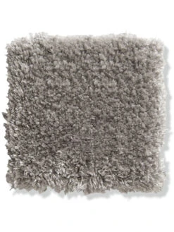 Einrichtungsgegenstände Geschäft -Einrichtungsgegenstände Geschäft VeroBeach Langflorteppichboden hellgrau silber74 lup