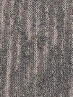 Teppichbodenfliese, Graubeige -Einrichtungsgegenstände Geschäft quantum teppichfliese graubeige graubeige lup